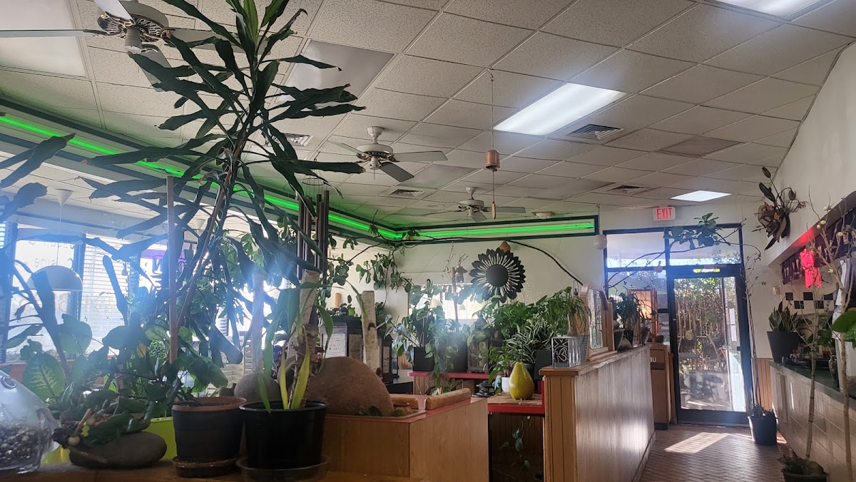 Teriyaki Kitchen